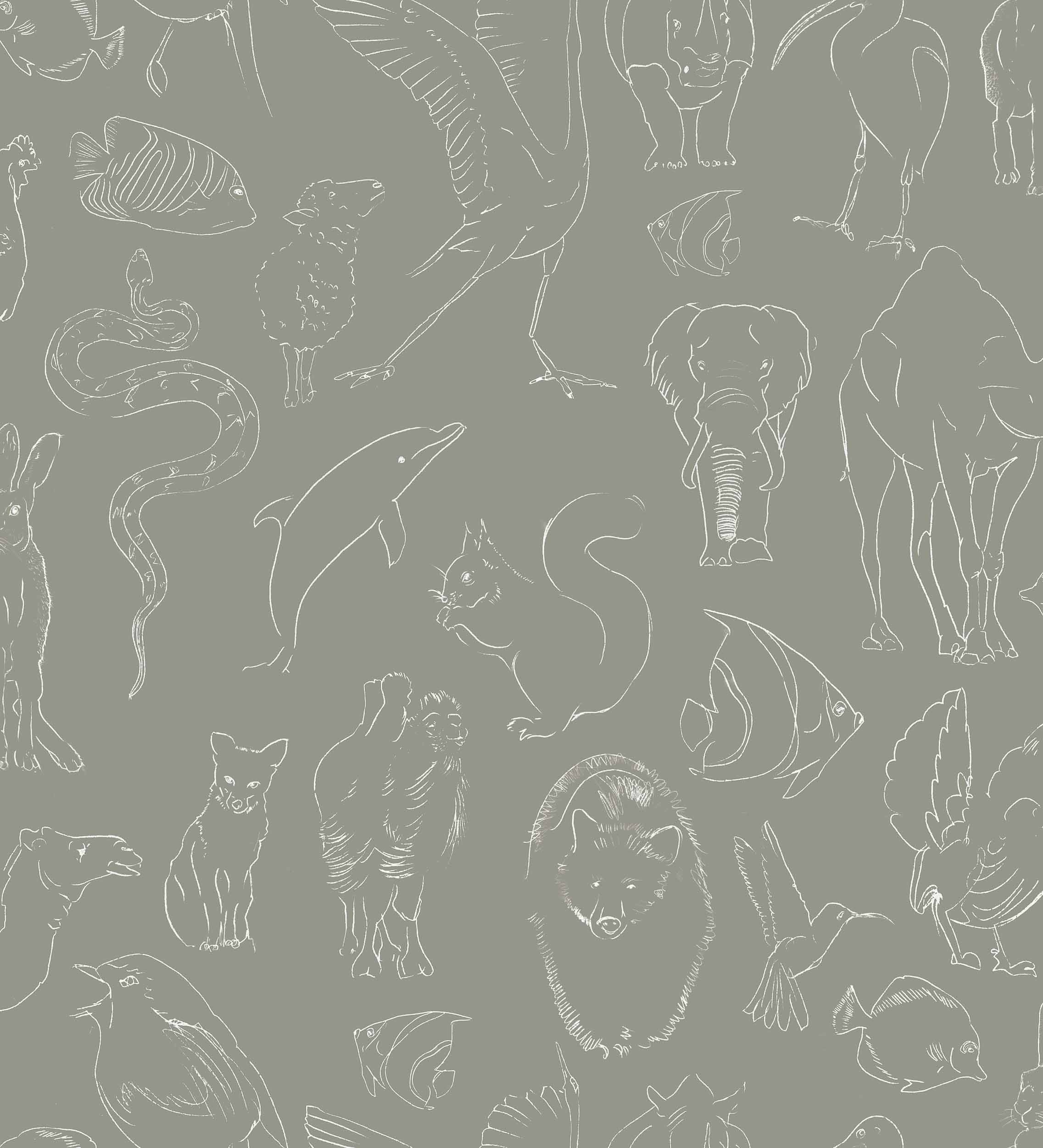 Zoology, Stone, Coordonne 5mp / rola
